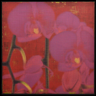 image of the series world in arms