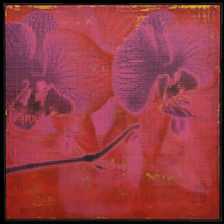 image of the series world in arms